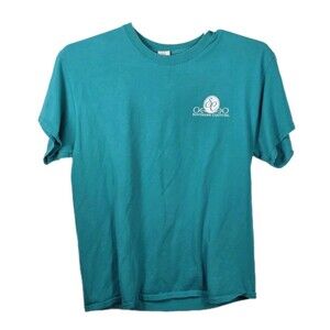 Southern Couture Classic Women's Large Teal  "  Too Much Style " T-Shirt